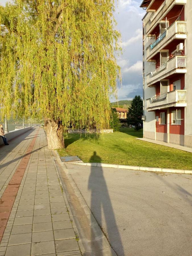 Apartman Bogojevic Golubac Exteriör bild